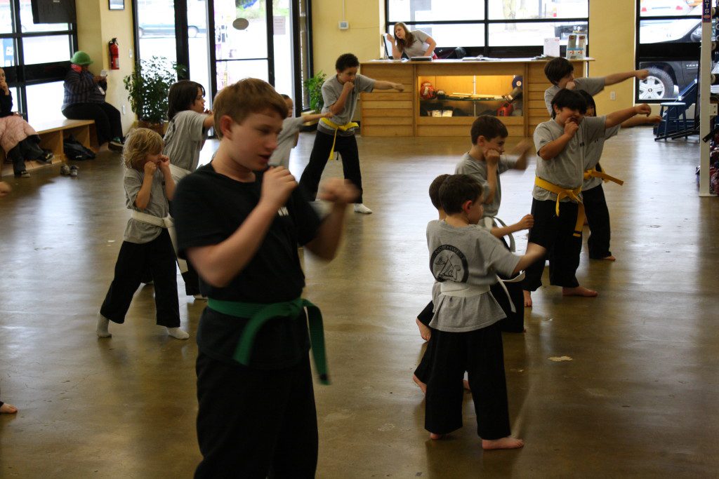 Vital Tips to Help You Choose the Best Martial Arts for Children Northwest Fighting Arts