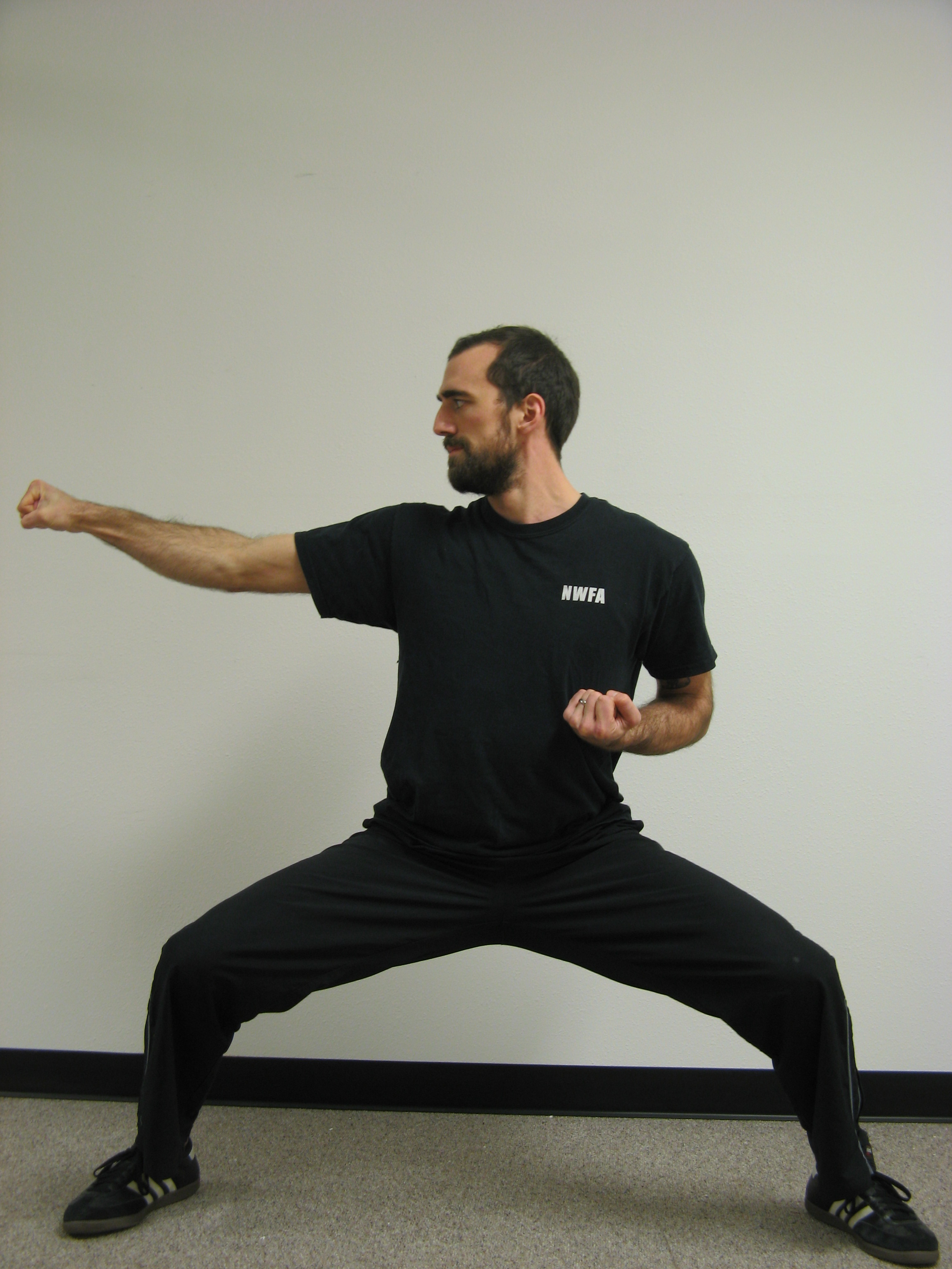 Qigong Form Draw Bow Northwest Fighting Arts