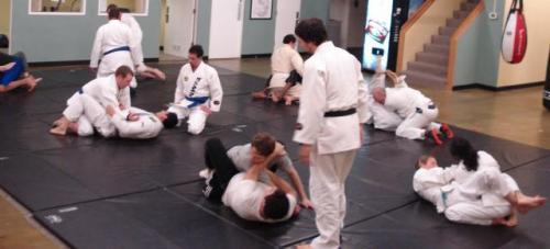 Gracie Jiu Jitsu classes in portland