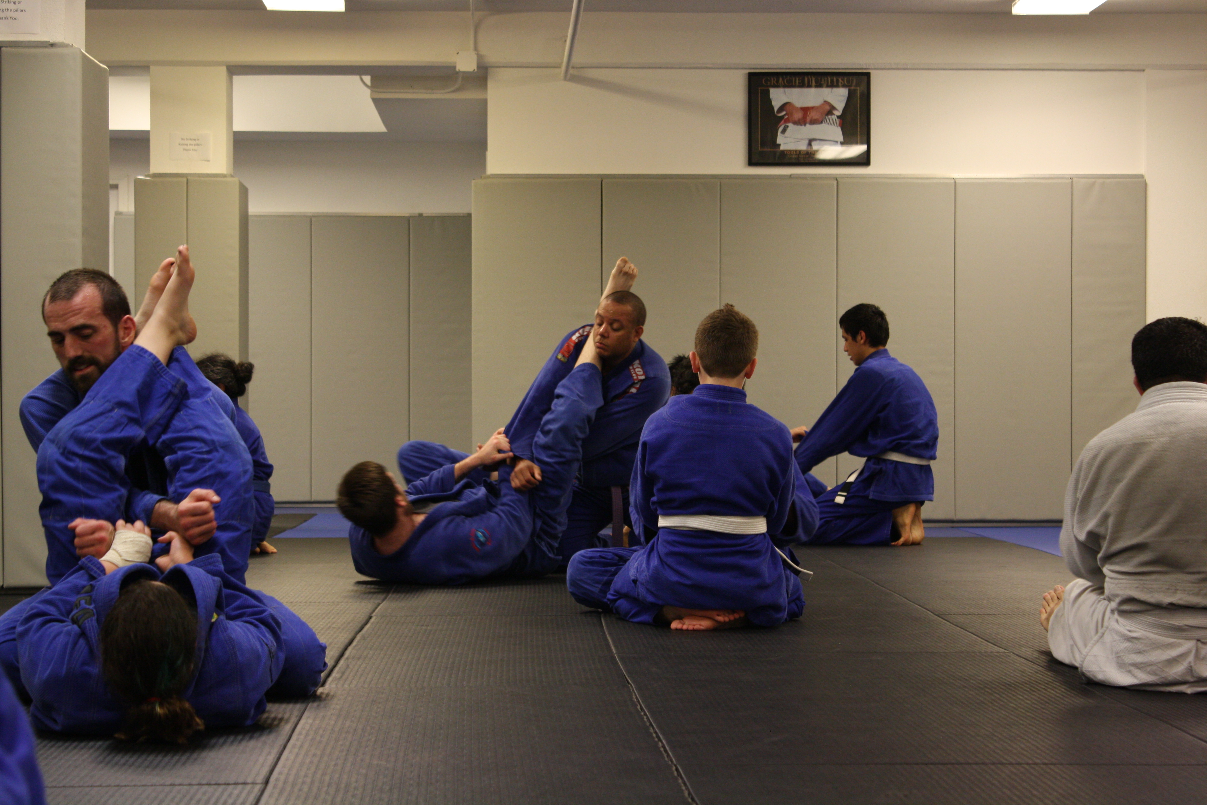 BJJ Spider Web Key Points and Positional Strategies