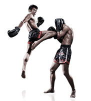 Muay Thai and Kickboxing? North